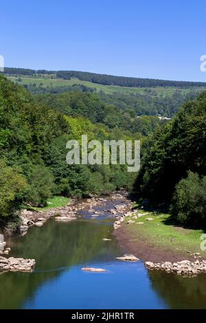 Fiume 'la Vebre' che alimenta il Lac du Laouzas. Nages, Occitanie, Francia Foto Stock