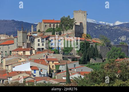 Francia, Pyrénées-Orientales (66) Montalba-le-Château, le village / Francia, Pyrénées-Orientales Montalba-le-Château, il villaggio Foto Stock