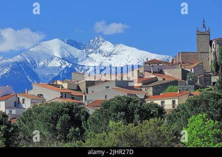 Francia, Pyrénées-Orientales (66) Montalba-le-Château, le village, le massif du Canigou enneigé / Francia, Pyrénées-Orientales Montalba-le-Château, il villaggio, il massiccio innevato del Canigou Foto Stock