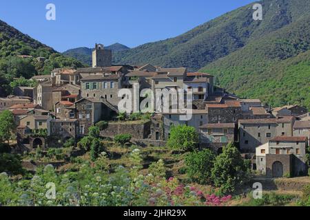 Francia, Gard (30) Saint-Martial, villaggio du Parc National des Cévennes, massiccio dell'Aigoual / Francia, Gard Saint Martial, villaggio nel Parco Nazionale delle Cévennes, massiccio dell'Aigoual Foto Stock