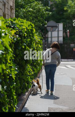 Francia, regione Ile de France, 16th circondario di Parigi, cani di piccola taglia e proprietario a piedi, Foto Stock