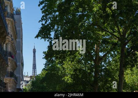 Francia, regione Ile de France, Parigi 15th circondario, boulevard du Montparnasse, edifici in stile Haussmann, Torre Eiffel, alberi Foto Stock