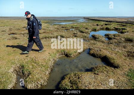 L'escursionista cammina attraverso gli appartamenti di fango vicino a Tetenbüll nella Frisia del Nord Foto Stock