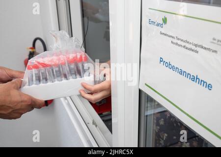 Nordhorn, Germania. 20th luglio 2022. Un assistente veterinario preleva campioni di sangue dai suini. I suini si trovano in un'azienda agricola situata in una zona di sorveglianza. A seguito dell'epidemia di peste suina africana in un'azienda agricola dell'Emsland meridionale, le contee colpite stanno adottando ulteriori misure per controllare la malattia animale. Un centro di logistica comune per le malattie animali ha iniziato le operazioni nelle contee di Grafschaft Bentheim e Emsland a Nordhorn. Credit: Friso Gentsch/dpa/Alamy Live News Foto Stock