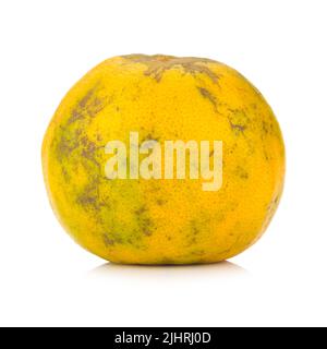 arancione, marcio, sporco, isolato su sfondo bianco. Foto Stock