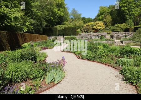 Un percorso irregolare di ghiaia curva corre tra aiuole di fiori perenni abbondanti nei giardini formali di una casa di campagna inglese sul bordo di Foto Stock