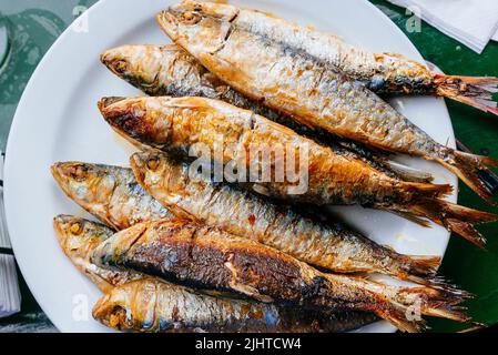 Cibo tradizionale asturiano. Sardine grigliate - grigliate sarde. Luanco, Gozón, Principato delle Asturie, Spagna, Europa Foto Stock