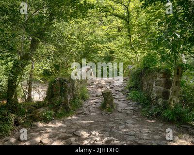 Antico ponte a cavallo di cavallo a Hisley Bridge a Dartmoor, Devon, Inghilterra, Regno Unito. Foto Stock