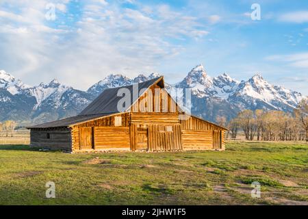 Storico Ta Moulton Barn lungo Mormon Row nel Grand Teton National Park, Wyoming Foto Stock