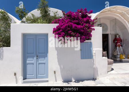 Tradizionale pittoresca villa greca con una porta blu e la serranda blu con bella fioritura bouganvillea. Oia, Santorini, Isole Cicladi, Grecia Foto Stock