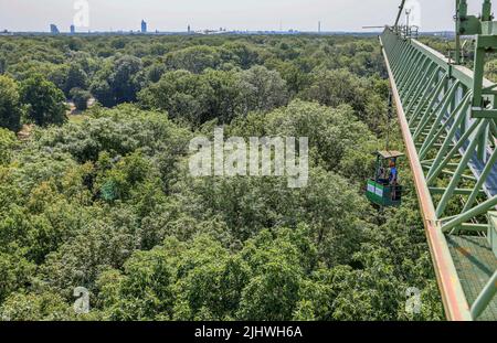 20 luglio 2022, Sassonia, Lipsia: Julia van Braak e Tom Künne, dipendenti dell'Università di Lipsia, utilizzano una gondola per raccogliere campioni da una gru nella foresta della pianura come parte del Centro tedesco di ricerca integrativa sulla biodiversità (iDiv) Halle-Jena-Leipzig. La gru forestale della pianura alluvionale consente agli scienziati di penetrare nelle cime degli alberi. La mancanza di precipitazioni mette in pericolo anche la popolazione di alberi nella foresta della pianura di Lipsia. Sycamore, quercia e soprattutto cenere sono particolarmente colpiti. I botanisti presumono che circa la metà dell'intera popolazione di alberi di cenere nella foresta della pianura alluvionale wi Foto Stock