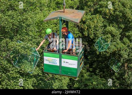 20 luglio 2022, Sassonia, Lipsia: Julia van Braak e Tom Künne, dipendenti dell'Università di Lipsia, utilizzano una gondola per raccogliere campioni da una gru nella foresta della pianura come parte del Centro tedesco di ricerca integrativa sulla biodiversità (iDiv) Halle-Jena-Leipzig. La gru forestale della pianura alluvionale consente agli scienziati di penetrare nelle cime degli alberi. La mancanza di precipitazioni mette in pericolo anche la popolazione di alberi nella foresta della pianura di Lipsia. Sycamore, quercia e soprattutto cenere sono particolarmente colpiti. I botanisti presumono che circa la metà dell'intera popolazione di alberi di cenere nella foresta della pianura alluvionale wi Foto Stock