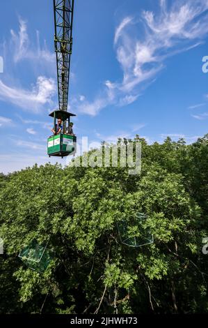 20 luglio 2022, Sassonia, Lipsia: Julia van Braak e Tom Künne, dipendenti dell'Università di Lipsia, utilizzano una gondola per raccogliere campioni da una gru nella foresta della pianura come parte del Centro tedesco di ricerca integrativa sulla biodiversità (iDiv) Halle-Jena-Leipzig. La gru forestale della pianura alluvionale consente agli scienziati di penetrare nelle cime degli alberi. La mancanza di precipitazioni mette in pericolo anche la popolazione di alberi nella foresta della pianura di Lipsia. Sycamore, quercia e soprattutto cenere sono particolarmente colpiti. I botanisti presumono che circa la metà dell'intera popolazione di alberi di cenere nella foresta della pianura alluvionale wi Foto Stock