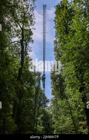 20 luglio 2022, Sassonia, Lipsia: Julia van Braak e Tom Künne, dipendenti dell'Università di Lipsia, utilizzano una gondola per raccogliere campioni da una gru nella foresta della pianura come parte del Centro tedesco di ricerca integrativa sulla biodiversità (iDiv) Halle-Jena-Leipzig. La gru forestale della pianura alluvionale consente agli scienziati di penetrare nelle cime degli alberi. La mancanza di precipitazioni mette in pericolo anche la popolazione di alberi nella foresta della pianura di Lipsia. Sycamore, quercia e soprattutto cenere sono particolarmente colpiti. I botanisti presumono che circa la metà dell'intera popolazione di alberi di cenere nella foresta della pianura alluvionale wi Foto Stock