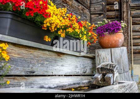 Fiori colorati che circondano una vecchia fontana sul lato di una casa colonica in tronchi nelle montagne svizzere Foto Stock