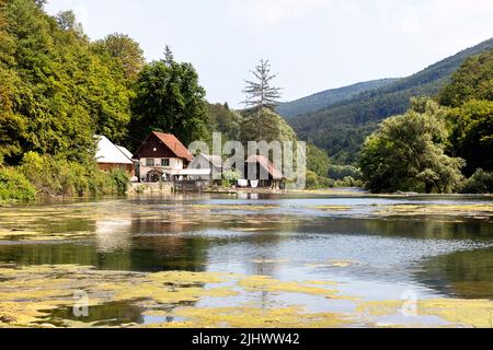 Casa tradizionale su una riva del fiume Krka, circondata da foreste lussureggianti, regione di Dolenjska, Slovenia Foto Stock