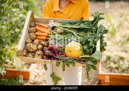 Farmer contiene verdure appena raccolte, primo piano Foto Stock