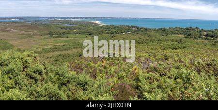 Poole Harbour e Studland Bay da Studland e Godlingston Heath, Dorset, Regno Unito Foto Stock