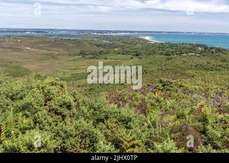 Poole Harbour e Studland Bay da Studland e Godlingston Heath, Dorset, Regno Unito Foto Stock