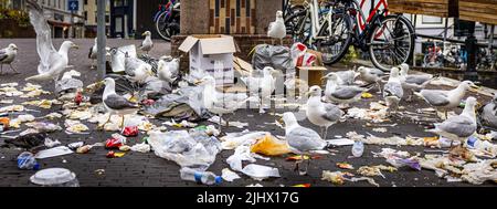 2022-07-21 06:53:41 AMSTERDAM - Uccelli a sacchi di rifiuti e rifiuti sciolti sulla Damstraat. Diversi esperimenti condotti dal comune di Amsterdam con l'obiettivo di svuotare i contenitori per rifiuti sotterranei in modo più economico e intelligente sono falliti, con conseguente traboccamento dei contenitori per rifiuti. ANP RAMON VAN FLYMEN olanda OUT - belgio OUT Foto Stock