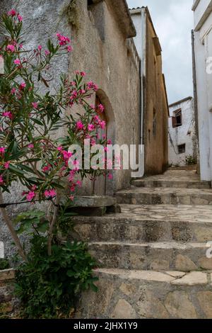 strada tipicamente greca sull'isola di creta con una fila di gradini di pietra che conducono a edifici e case, villaggio in grecia, strada rurale greca, fiori Foto Stock