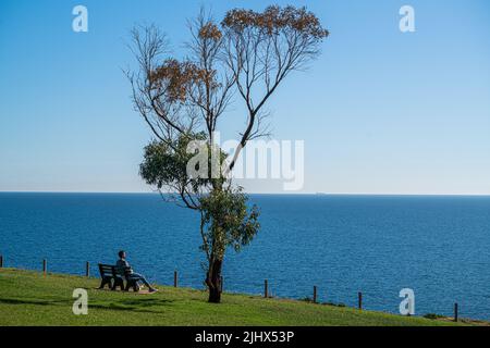 Adelaide Australia 21 luglio 2022. Un uomo seduto al caldo sole invernale su una panchina accanto ad un albero di eucalipto che domina l'oceano pacifico Credit. amer Ghazzal/Alamy Live News Foto Stock