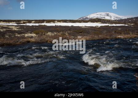 Il fiume Driva corre a circa 1000 metri sul livello del mare attraverso la catena montuosa di Dovrefjell nella Norvegia centrale Foto Stock