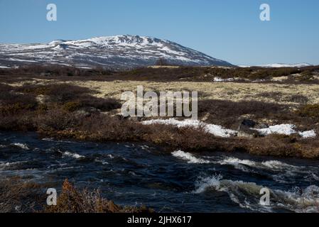 Il fiume Driva corre a circa 1000 metri sul livello del mare attraverso la catena montuosa di Dovrefjell nella Norvegia centrale Foto Stock