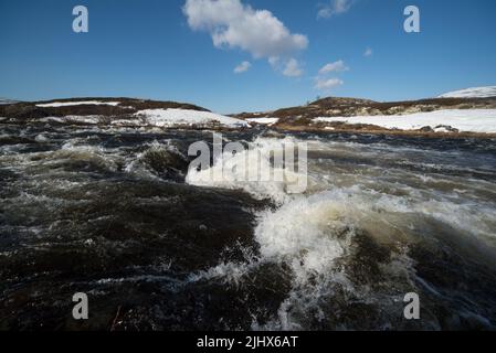 Il fiume Driva corre a circa 1000 metri sul livello del mare attraverso la catena montuosa di Dovrefjell nella Norvegia centrale Foto Stock