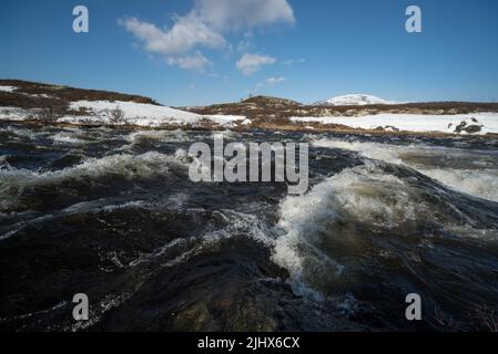 Il fiume Driva corre a circa 1000 metri sul livello del mare attraverso la catena montuosa di Dovrefjell nella Norvegia centrale Foto Stock