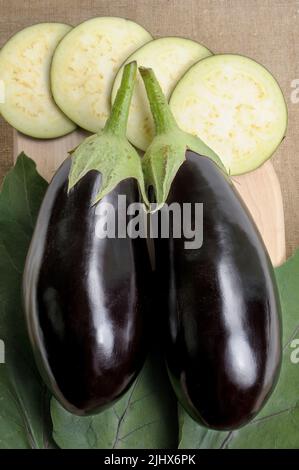 Due melanzane lisce nere giacciono su uno sfondo di foglie Foto Stock