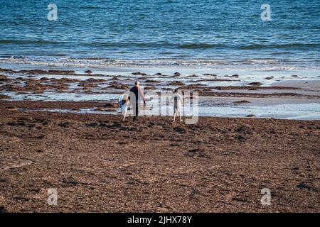 Adelaide Australia 21 luglio 2022. Persone che camminano nel caldo sole invernale su una spiaggia coperta di alghe secche in Adelaide Credit. amer Ghazzal/Alamy Live News Foto Stock