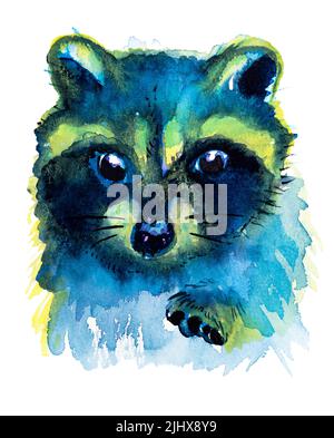 Carino raccoon piccolo con una zampa rialzata. Illustrazione di acquerello disegnata a mano in uno stile libero Foto Stock
