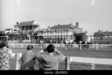 Warwick Races, Warwickshire, Inghilterra, Regno Unito. 1970 Foto Stock