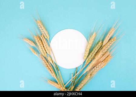 Raccolto di grano su sfondo blu, spazio di copia per il testo, raccolto di cibo in estate, paglia d'oro Foto Stock