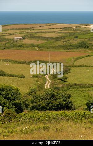 Cornwall, Regno Unito. 2022. Terreni agricoli costieri della Cornovaglia e una pista agricola che si dirige verso la costa. Foto Stock