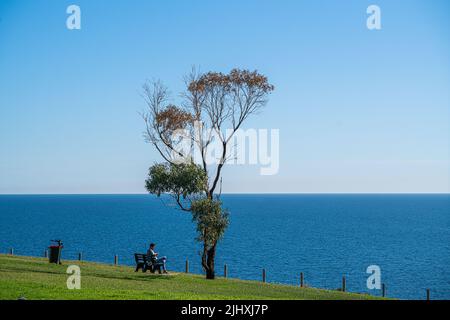 Adelaide Australia 21 luglio 2022. Un uomo seduto su una panchina accanto ad un albero di eucalipto a Hallett Cove nel caldo sole invernale che domina l'oceano pacifico Credit. amer Ghazzal/Alamy Live News Foto Stock