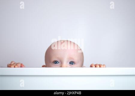 cute cute bambino peeking fuori su sfondo bianco. Foto Stock