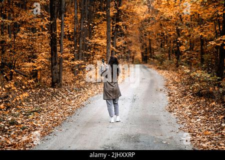 Donna che scatta foto nella foresta autunnale. Fotografia mobile, fotografia cinematografica, scatto di foto Foto Stock