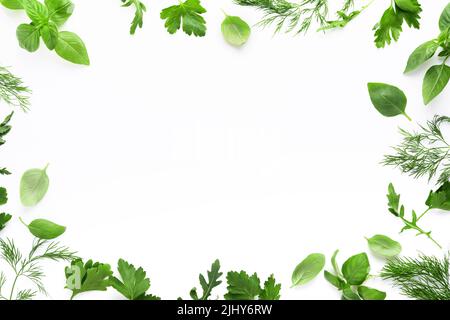 Erbe fresche verdi. Cornice di basilico fresco, aneto, salvia, prezzemolo, rucola su sfondo bianco. Cibo sano. Vista dall'alto. Mock up. Spazio di copia. Foto Stock
