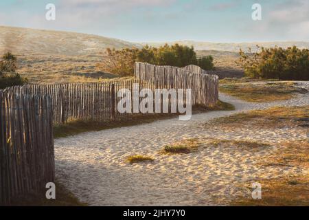 Vista su una duna con recinzione in legno in stile vintage Foto Stock