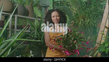 Una donna contadina nera che innaffia piante e cibo con annaffiatura lattina. Persona irrigando fattoria coltivando giardino di comunità Foto Stock