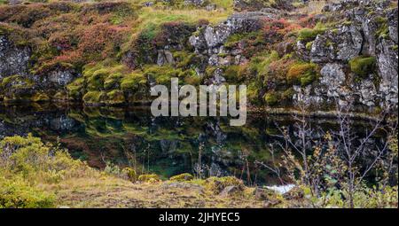 Piscina riflettente al Parco Nazionale di Þingvellir Foto Stock