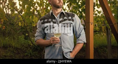 l'uomo di vinedresser croppato tiene il wineglass al vigneto all'aperto, azienda agricola dell'uva Foto Stock