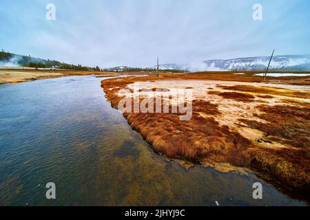 I fiumi di Yellowstone sulla mattina di nebbia con vapore di zolfo ed erbe rosse Foto Stock
