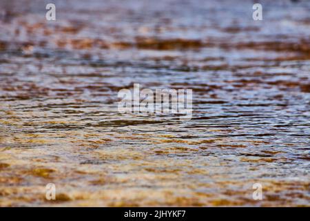 Il runoff della piscina di Yellowstone crea centinaia di piccole terrazze Foto Stock