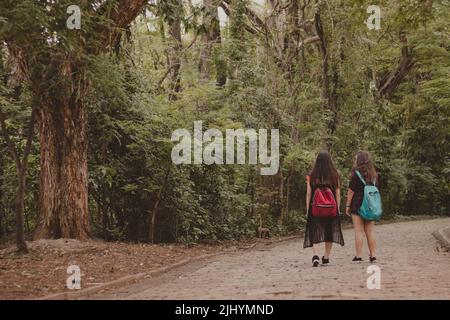 due amiche adolescenti che camminano nella natura con zaini Foto Stock