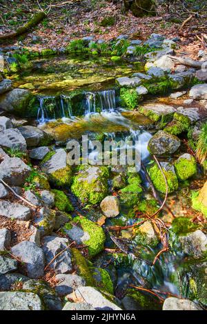 Yosemite pittoresca fonte di felci con rocce mosche e piccole cascate Foto Stock