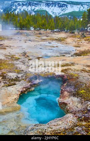 Yellowstone in inverno con piscine termali blu intenso Foto Stock