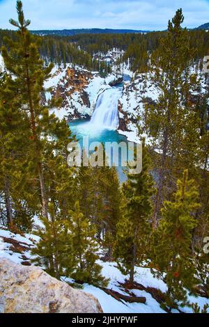 Vista delle Lower Falls nell'inverno di Yellowstone attraverso i pini Foto Stock